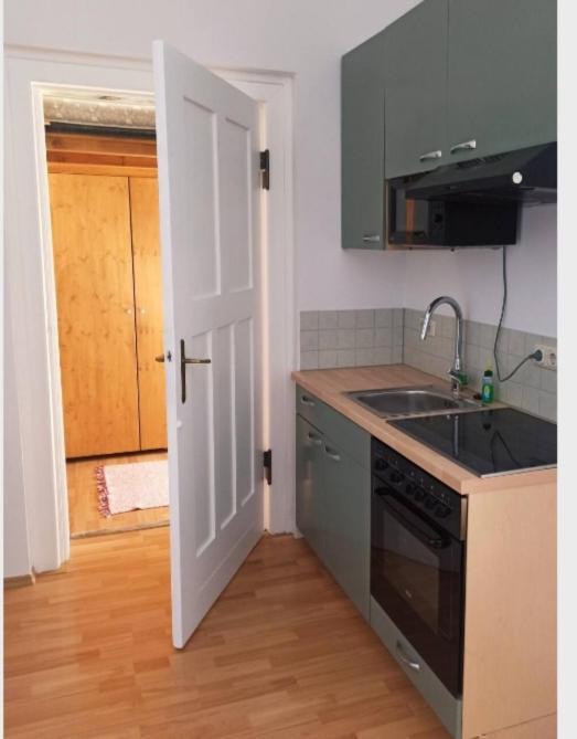 Ferienwohnung Villenviertel Rudolstadt Dış mekan fotoğraf